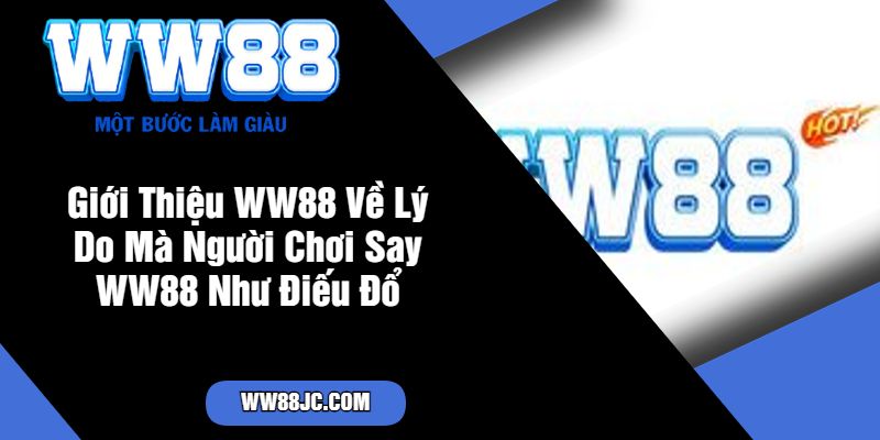 Giới Thiệu WW88 Về Lý Do Mà Người Chơi Say WW88 Như Điếu Đổ