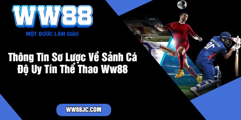 Thông Tin Sơ Lược Về Sảnh Cá Độ Uy Tín Thể Thao Ww88